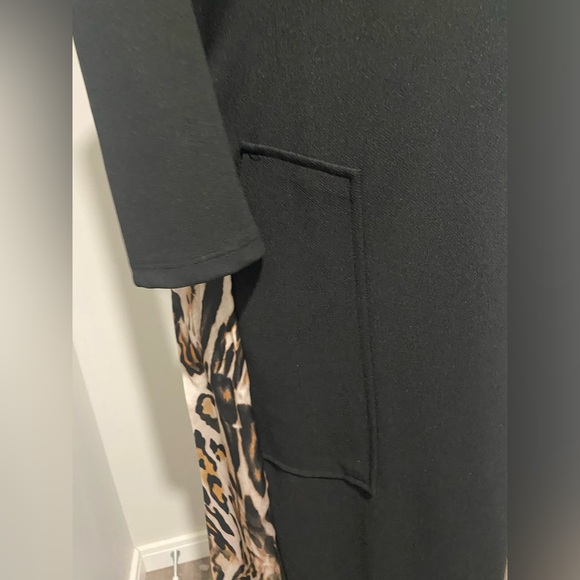 BNWT Zara Fall/Winter Dress - Picture 5 of 7